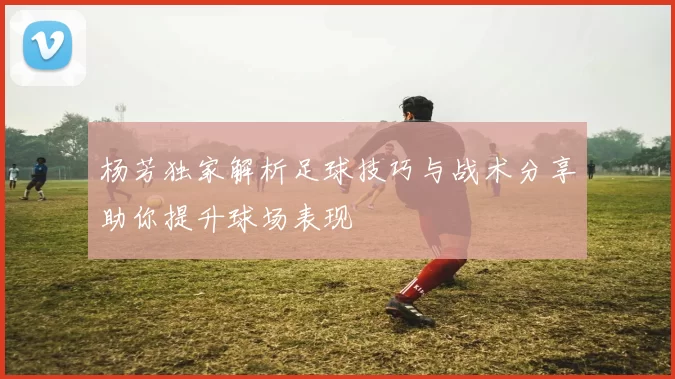 杨芳独家解析足球技巧与战术分享助你提升球场表现