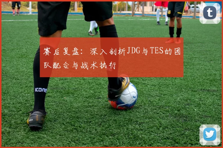 赛后复盘：深入剖析JDG与TES的团队配合与战术执行