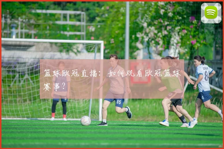 篮球欧冠直播：如何观看欧冠篮球赛事？