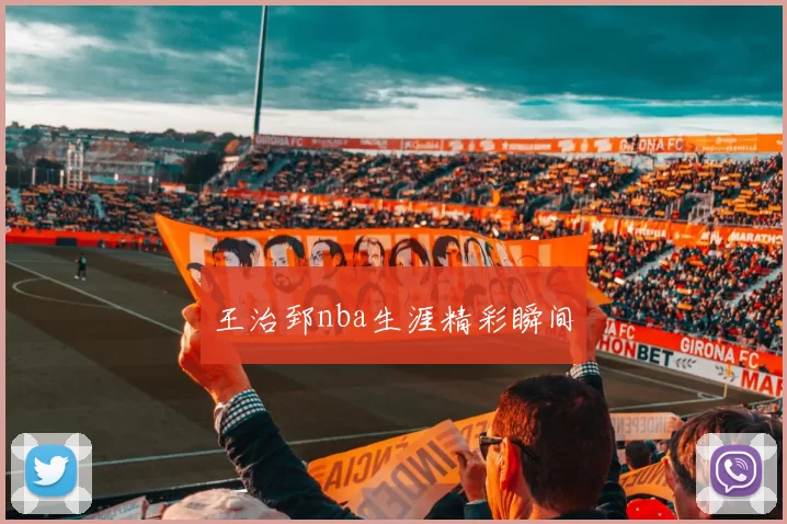 王治郅nba生涯精彩瞬间