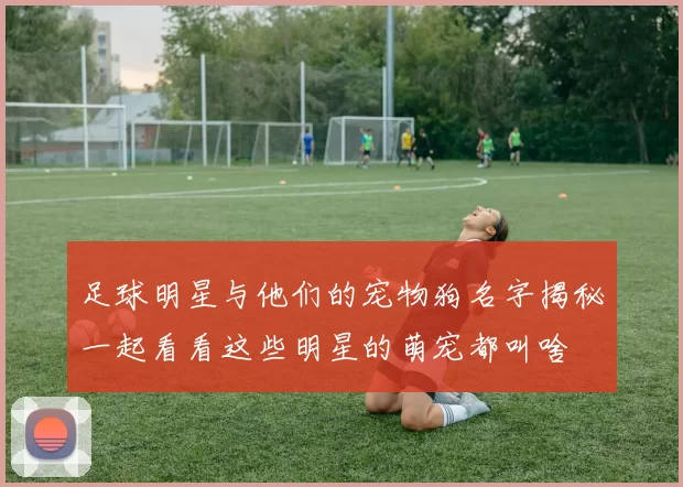 足球明星与他们的宠物狗名字揭秘一起看看这些明星的萌宠都叫啥