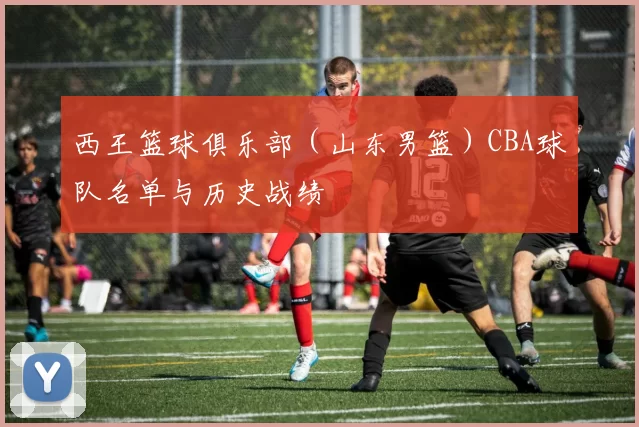 西王篮球俱乐部（山东男篮）CBA球队名单与历史战绩
