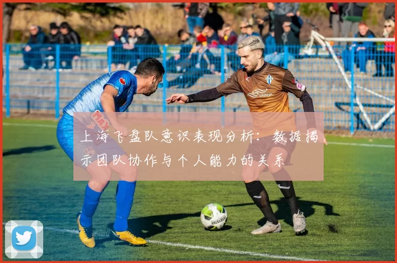 上海飞盘队意识表现分析：数据揭示团队协作与个人能力的关系