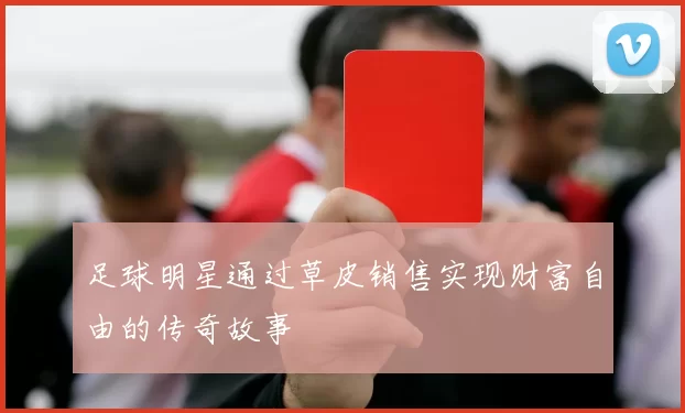 足球明星通过草皮销售实现财富自由的传奇故事