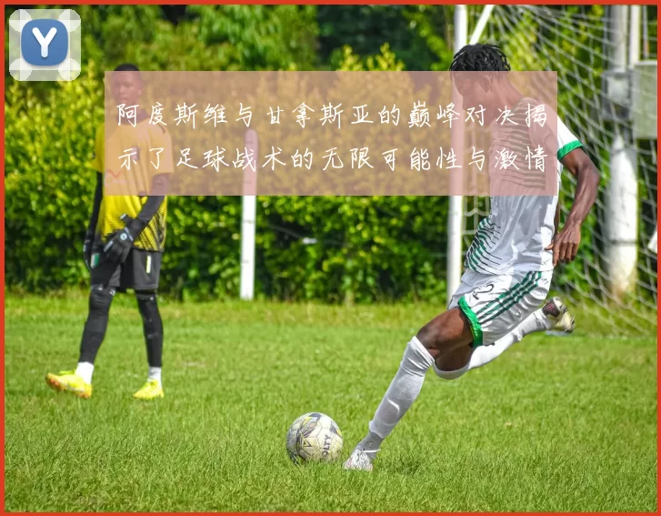 阿度斯维与甘拿斯亚的巅峰对决揭示了足球战术的无限可能性与激情碰撞