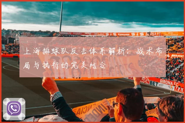 上海排球队反击体系解析：战术布局与执行的完美结合