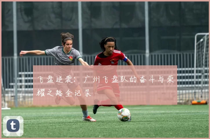 飞盘逆袭：广州飞盘队的奋斗与荣耀之路全记录