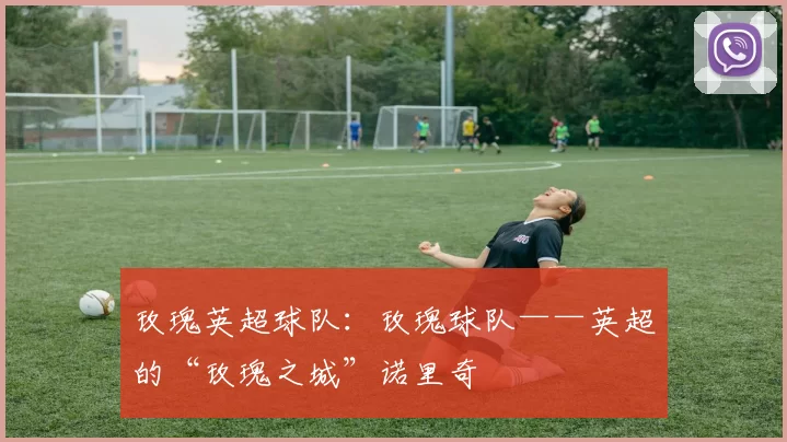 玫瑰英超球队：玫瑰球队——英超的“玫瑰之城”诺里奇