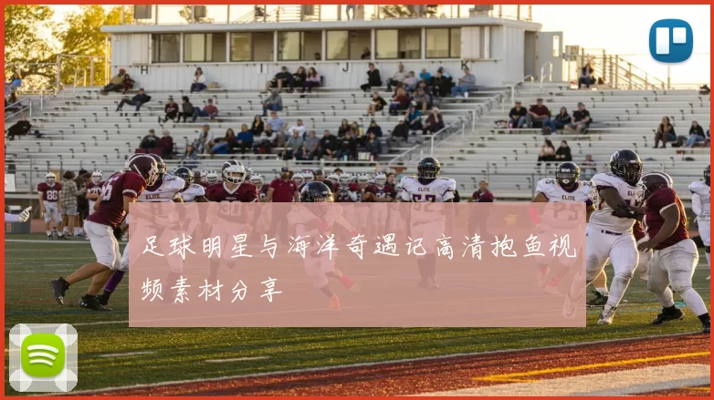 足球明星与海洋奇遇记高清抱鱼视频素材分享