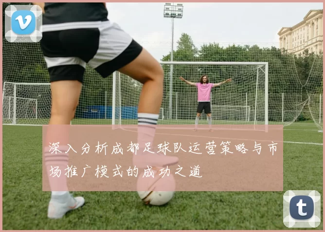 深入分析成都足球队运营策略与市场推广模式的成功之道