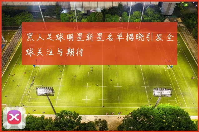 黑人足球明星新星名单揭晓引发全球关注与期待