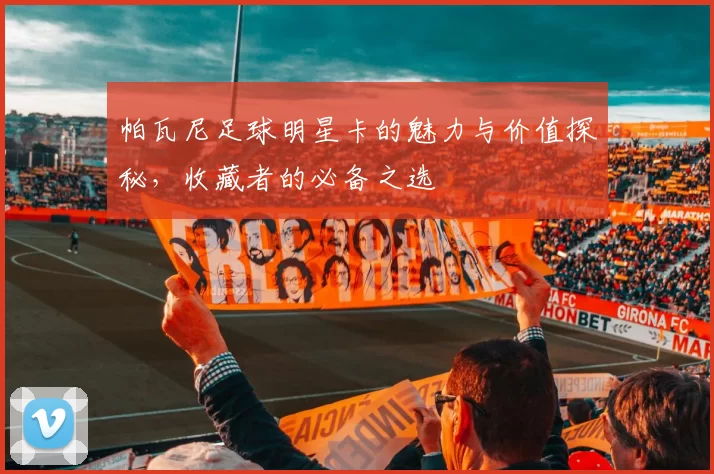 帕瓦尼足球明星卡的魅力与价值探秘，收藏者的必备之选